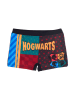 Harry Potter Bokserki "Harry Potter" ze wzorem