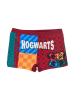 Harry Potter Boxershort "Harry Potter" meerkleurig