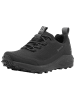 Haglöfs Wanderschuhe "L.I.M FH GTX" in Schwarz