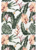 Eight2Nine Shirt wit/groen/oranje