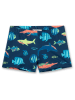 Sanetta Kidswear Zwemshort donkerblauw