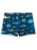 Sanetta Kidswear Zwemshort donkerblauw