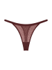 Triumph String "Signature Sheer" donkerbruin