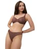 Triumph Slip "Harmony Spotlight Tai" in Dunkelbraun