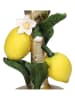 Kersten Kaarshouder "Lemon" geel/groen/goudkleurig - (H)18 x Ø 10 cm