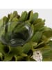 Homla Kaarshouder "Kiri" groen - Ø 17  cm