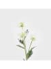 Homla Decoratieve tak "Alma" wit/groen - (L)68 cm