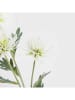 Homla Decoratieve tak "Alma" wit/groen - (L)68 cm