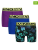 Vingino 3er-Set: Boxershorts in Bunt