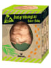moses. Ausgrabungsei ''Dino-Baby'' - ab 6 Jahren (Überraschungsprodukt)