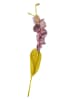 Rice Kunstbloemen paars/groen - (H)60 cm