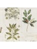 Mint Rugs Tischdecke "Botanical" in Creme/ Grün
