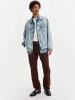 Levi's Chino in Braun