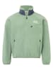 Marmot Fleecepullover "94 E.C.O." in Grün