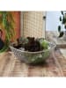 Ethnical Life Saladekom transparant/goudkleurig - (B) 25,6 x (H)10 cm