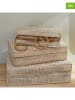 Today 3-delige set: opbergboxen "Mango Wood" beige/wit