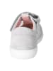 PEPINO Leder-Sneakers in Grau