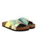 Calceo Slippers meerkleurig
