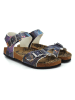 Calceo Sandalen in Bunt