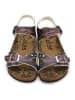 Calceo Sandalen in Bunt