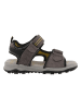 Lurchi Sandalen "Rayen-S" in Anthrazit