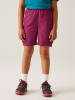 Regatta Trainingsshorts "Sorcer III" in Lila