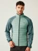 Regatta Hybridjacke "Clumber IV" in Hellblau