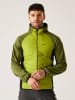 Regatta Hybridjacke "Andreson VIII" in Grün/ Schwarz