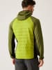 Regatta Hybride jas "Andreson VIII" groen/zwart