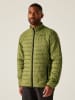 Regatta Steppjacke "Hillpack II" in Grün
