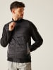 Regatta Hybridjacke "Brennon" in Schwarz