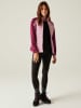 Regatta Hybridjacke "Clumber V" in Rosa/ Lila