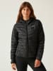 Regatta Steppjacke "Hillpack IV" in Schwarz
