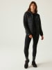 Regatta Steppjacke "Hillpack IV" in Schwarz