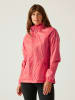 Regatta Regenjacke "Corinne IV" in Rosa