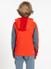 Dare 2b Fleece vest "Thriving IV" rood