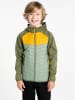 Dare 2b Hybride jas "Explore II" groen/geel