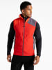 Dare 2b Softshellbodywarmer "Lattitudin lIII" rood
