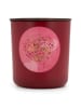 Juwelkerze Duftkerze mit Ring "Birthday Bundle" - 560 g