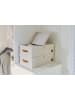 STORE IT 2-delige set: opbergboxen "Premium" grijs - (B)50 x (H)33 x (D)16 cm