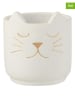 J Line 2er-Set: Übertöpfe "Katze" in Weiß - (H)14,5 x Ø 14 cm