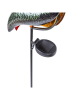 Garden Hero LED-Solar-Gartenstecker in Bunt - (B)26 x (H)120 x (T)9 cm