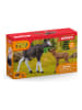 Schleich Zestaw figurek "Moose with calf" do zabawy - 3+