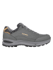 LOWA Leder-Wanderschuhe "Renegade Evo GTX LO Ws" in Grau