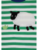 Toby Tiger Shirt groen