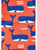 Toby Tiger Badeshirt in Blau/ Rot
