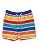 Toby Tiger Badeshorts in Bunt