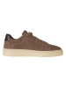 Gant Sneakers in Braun