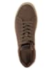 Gant Sneakers in Braun
