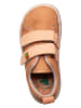 El Naturalista Sneakers oranje